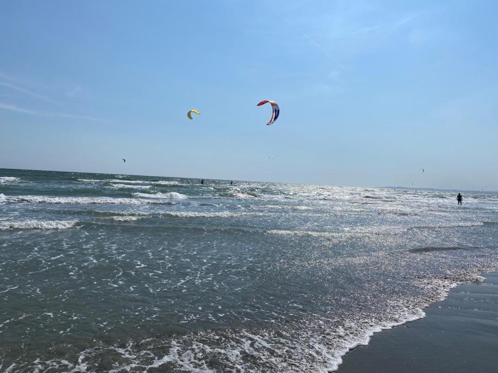 Emi Apartment Mamaia Năvodari المظهر الخارجي الصورة